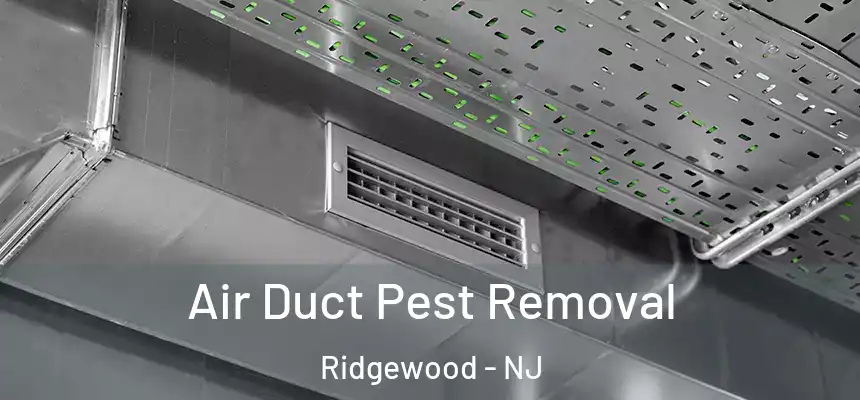  Air Duct Pest Removal Ridgewood - NJ