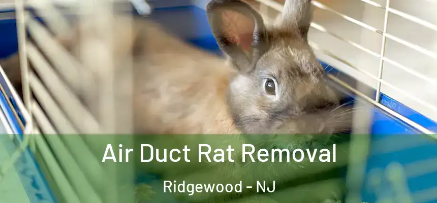  Air Duct Rat Removal Ridgewood - NJ