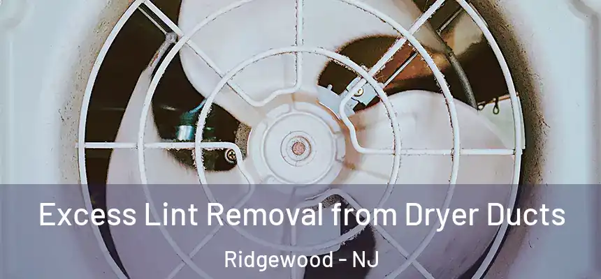  Excess Lint Removal from Dryer Ducts Ridgewood - NJ