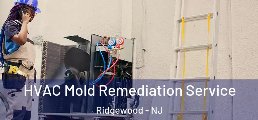 HVAC Mold Remediation Service Ridgewood - NJ