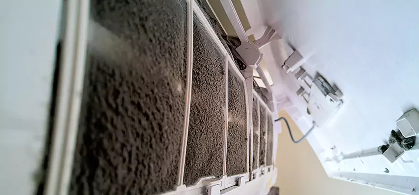 Preventive Air Duct Bacteria Removal in Ridgewood