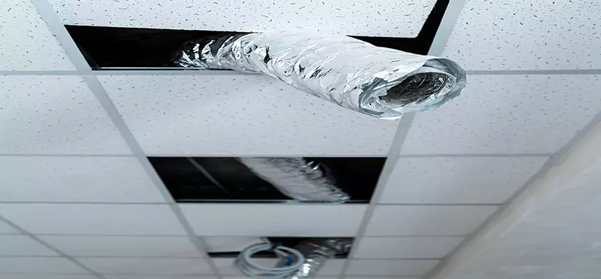 Our Air Duct Pet Hair Removal Services in Ridgewood, NJ