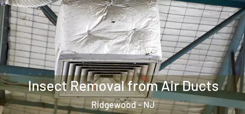  Insect Removal from Air Ducts Ridgewood - NJ