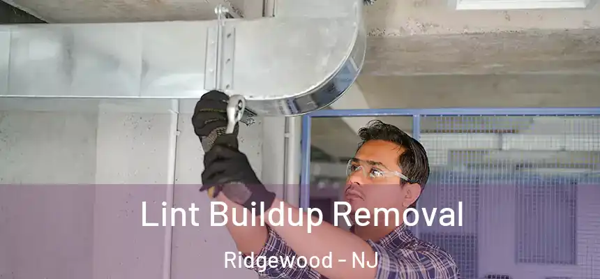  Lint Buildup Removal Ridgewood - NJ
