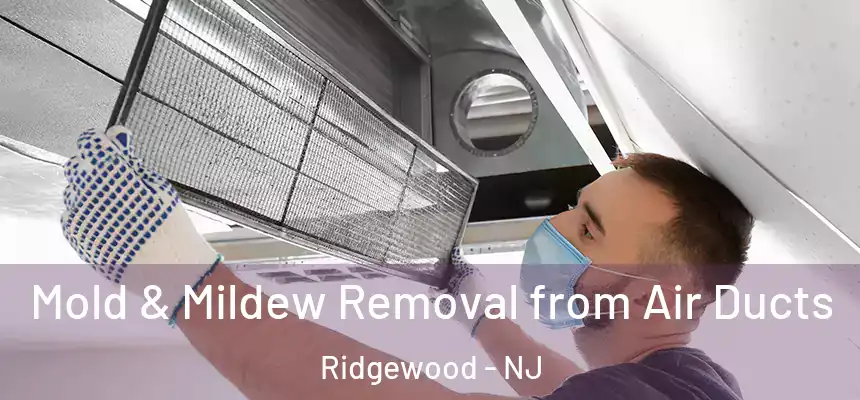  Mold & Mildew Removal from Air Ducts Ridgewood - NJ
