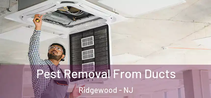  Pest Removal From Ducts Ridgewood - NJ