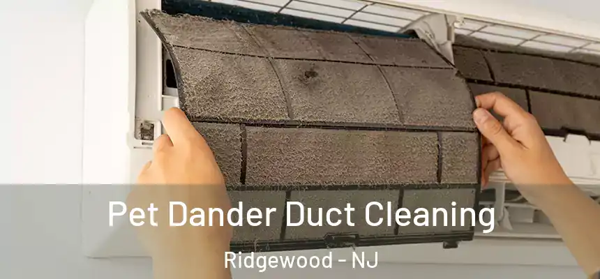  Pet Dander Duct Cleaning Ridgewood - NJ