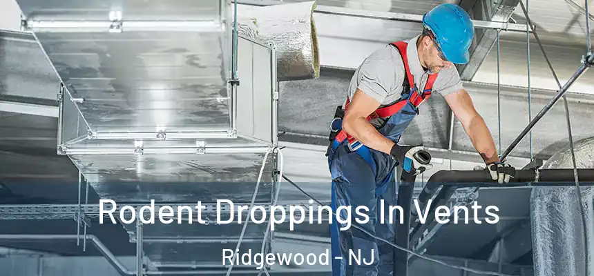  Rodent Droppings In Vents Ridgewood - NJ