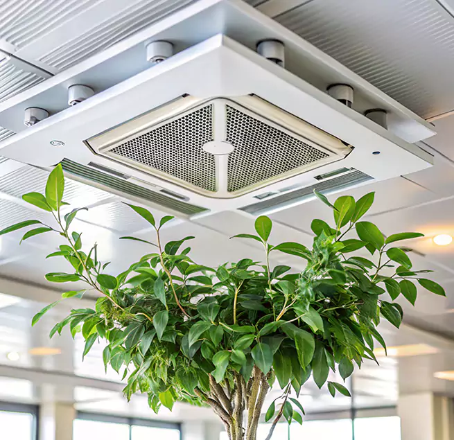 Why Homeowners & Businesses Trust Us in Ridgewood, NJ?